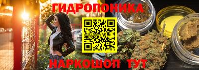 эйфоретик Будённовск