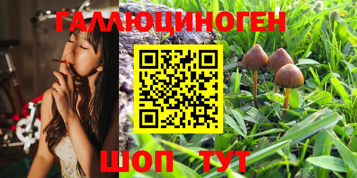 купить закладку  Псилоцибиновые грибы Magic Shrooms  Вход с VPN  Нефтеюганск 